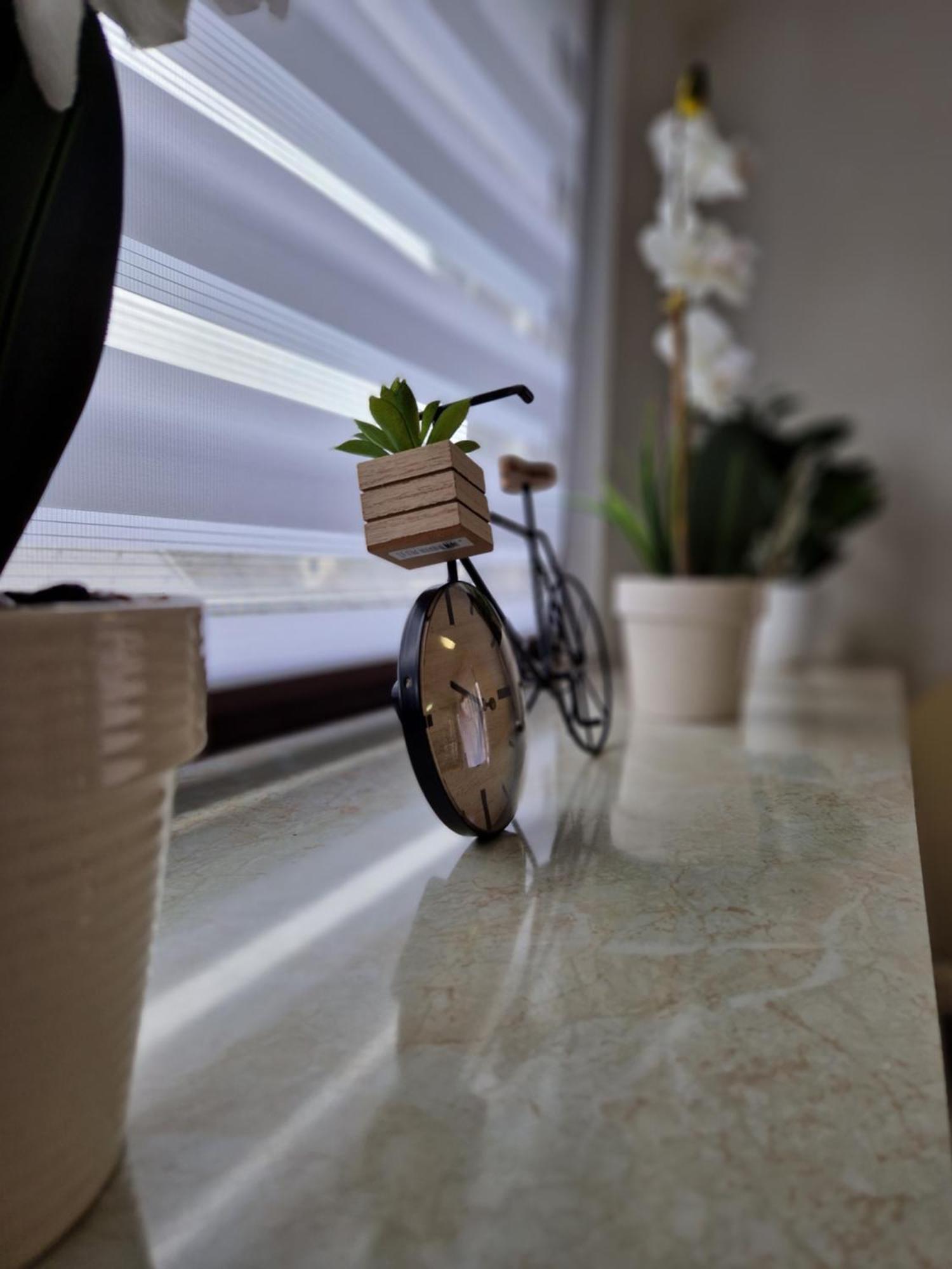 Apartment Lara Sankt Peter am Bichl المظهر الخارجي الصورة